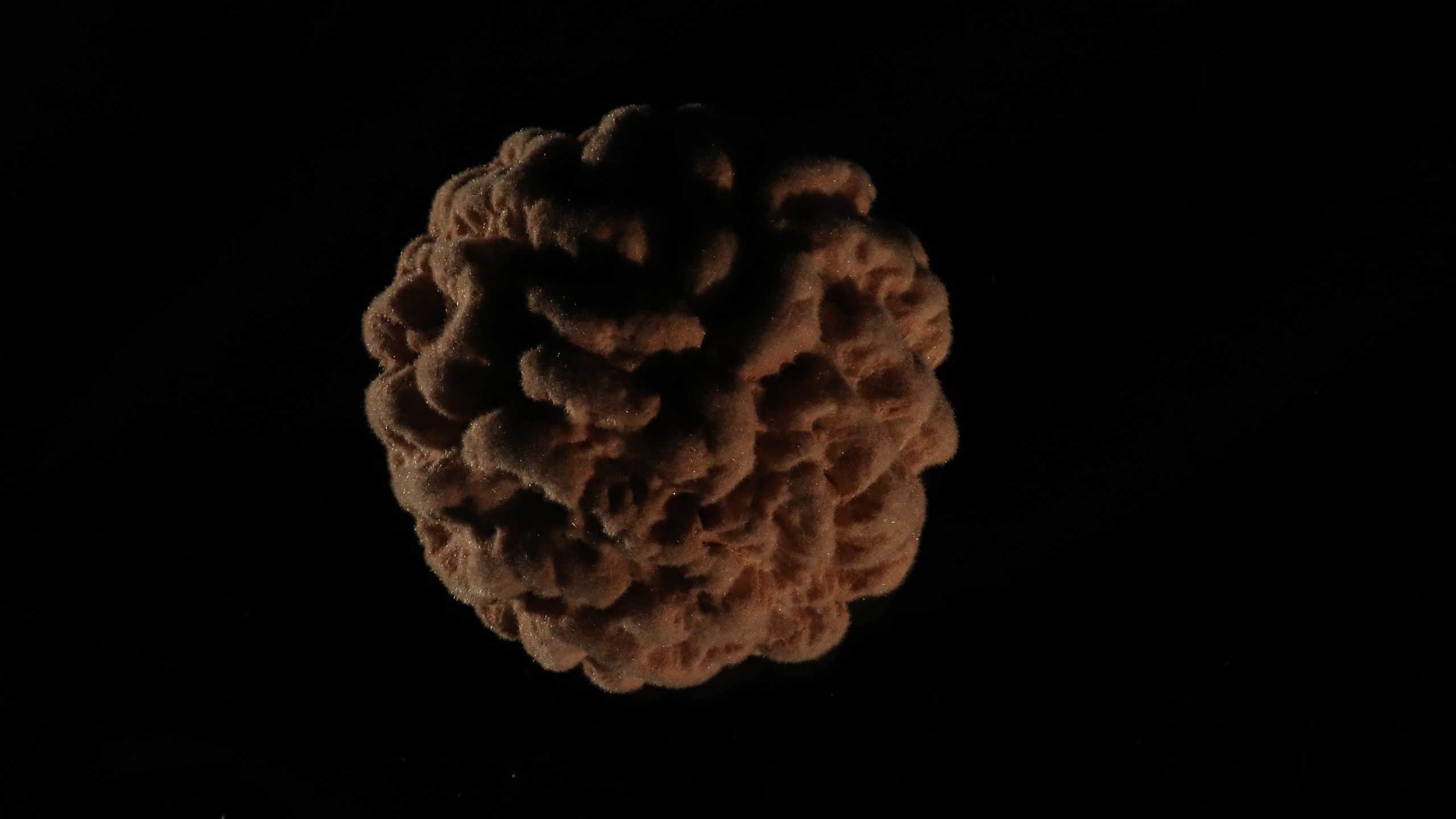 CEL-JPL-(9)